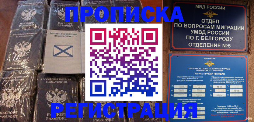 прописка гарантия в Электрогорске